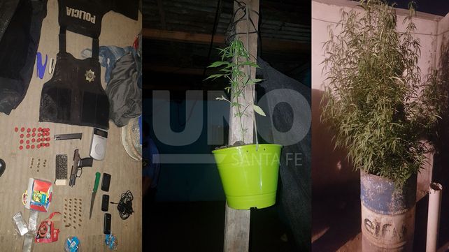 Los atraparon con un arma, balas de guerra y un jardincito de plantas de marihuana
