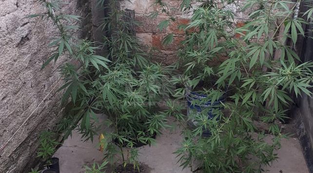 Apresaron a seis narcos en 13 allanamientos en Calchaquí