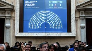 La iniciativa cosechó 214 votos positivos y cuatro abstenciones (del Frente de Izquierda).
