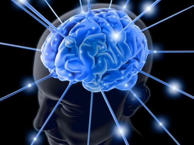 La ciencia se calienta la cabeza con el coeficiente intelectual