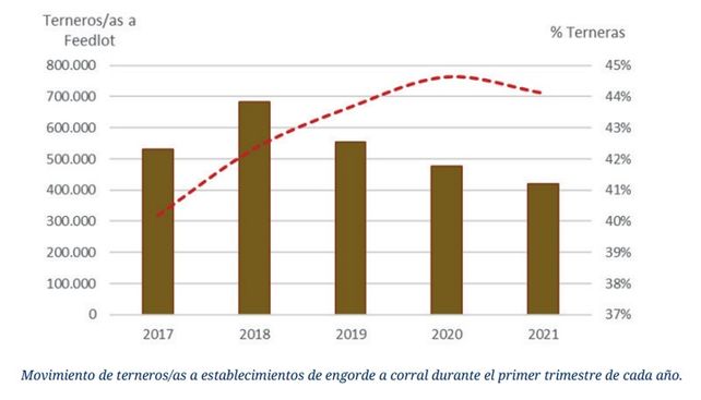 Faena bovina: entre el inicio o no de una fase de retención ganadera