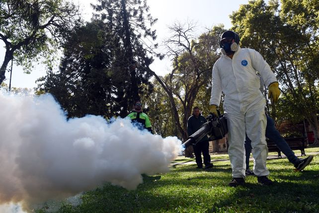Fumigación en la plaza Saavedra, al sur de la ciudad de Rosario. El municipio sumó personal a la tarea.