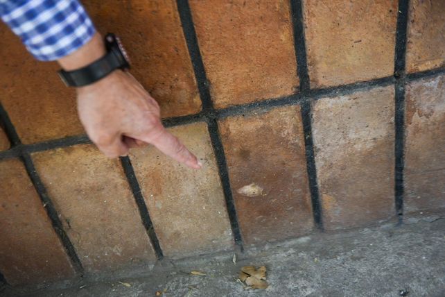 Ver morir a personas baleadas, la tragedia que se volvió habitual en las calles de Tablada