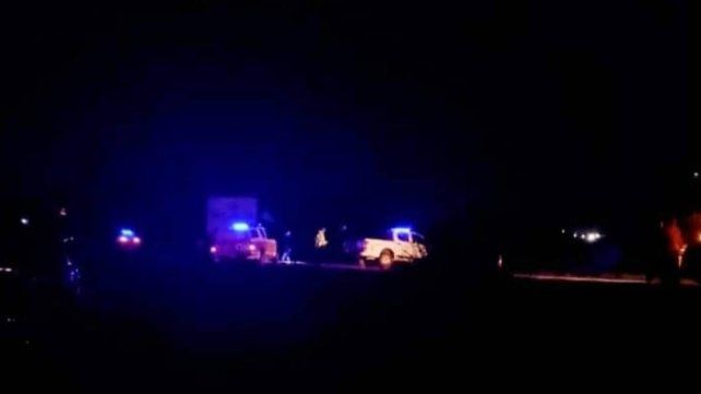 Paraná: un vehículo chocó tres ciervos axis que cruzaron la ruta