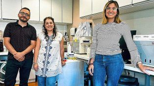 Cáncer: identificaron estrategia terapéutica para tratar un tipo de tumor