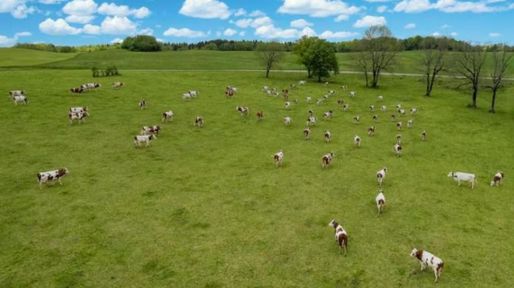 Tierras argentinas en manos extranjeras: qué departamento de la provincia de Santa Fe ya supera el límite legal