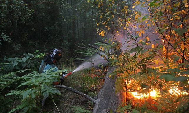 Ya son 50 los muertos por incendios forestales en Rusia pero prev&eacute;n m&aacute;s v&iacute;ctimas
