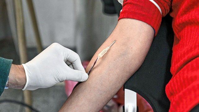 Donación de médula ósea: en Santa Fe hay 34.000 potenciales donantes inscriptos en Registro Nacional