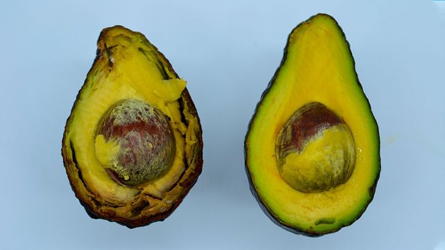 Especialistas del Conicet desarrollaron un bioproducto que protege frutas y verduras de la amenaza de patógenos