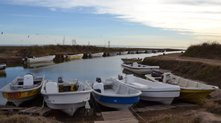 La Picasa dejó de ser un polo turístico por la caída en la pesca del pejerrey