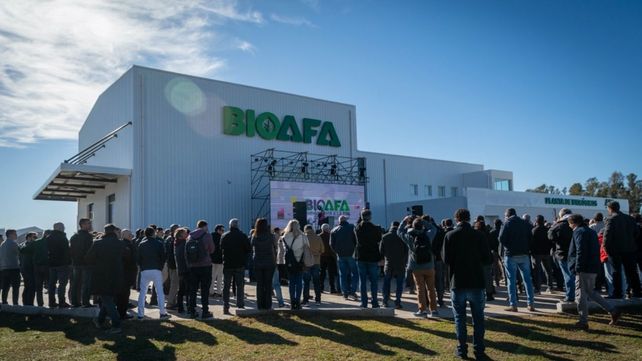 La puesta en marcha de la plata de AFA demandó una inversión de 6 millones de dólares.