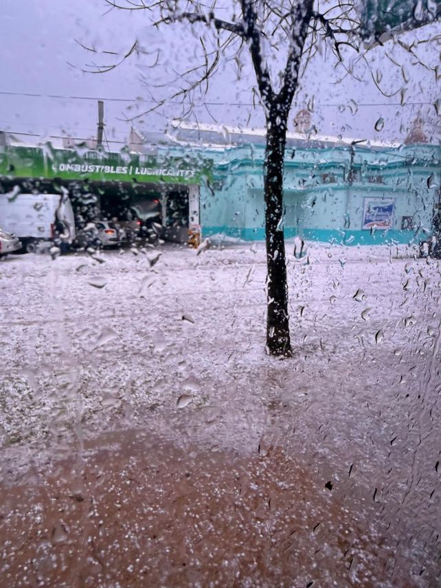 Las Rosas se recupera después de los 15 minutos de devastación del jueves provocadas por la tormenta de granizo