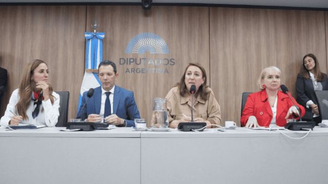 Comisión por fentanilo contaminado: convocan a especialistas y exponen un informe sobre la causa judicial