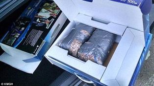 Compró una PlayStation 4 y al abrir la caja encontró que había una bolsa de piedras