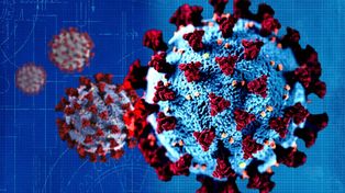 Pandemia: por qué no avanza la variante Delta