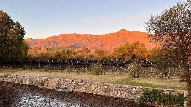 Los viñedos de San Javier y Yacanto forman parte del camino del vino de Córdoba
