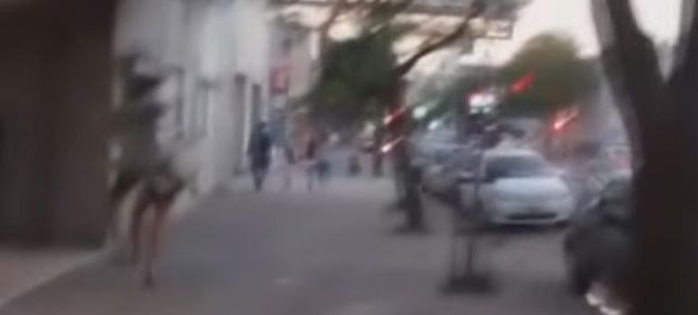 Travesti golpeado: denunciarán penalmente a los jóvenes agresores