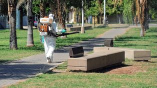 Trabajos de fumigación en la ciudad de Santa Fe