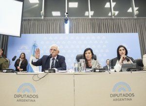Diputados: soberanía en Malvinas,vandalismo rural y pulseada por el DNU 70/23