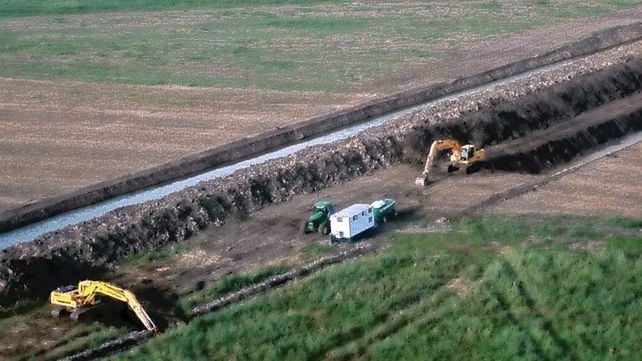 Denuncian que venden terrenos en el área protegida del delta del Paraná