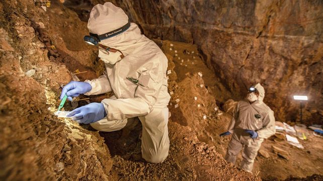 Veinte imágenes alrededor del mundo en tiempos de pandemia