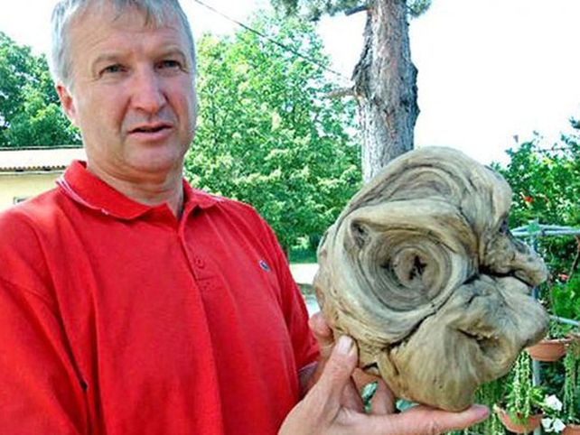 Aseguran que encontraron la cabeza de un extraterrestre