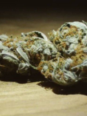 Concepción del Uruguay: tres años de prisión condicional para los dueños de un grow shop