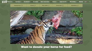 Un zoológico danés pide que donen mascotas para alimentar a sus animales