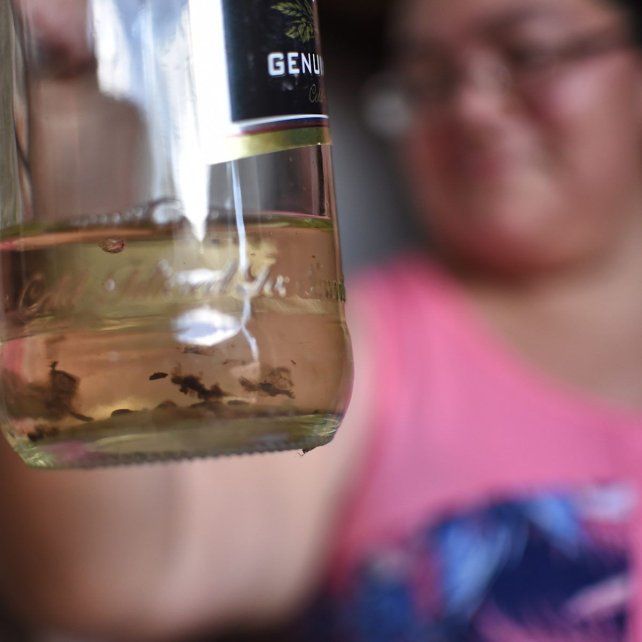 Dengue: continúa en descenso la presencia del mosquito transmisor de la enfermedad en los barrios de la ciudad