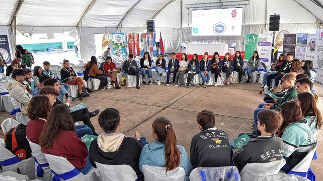Charlas. Se conformaron cinco grupos de trabajo que desarrollaron sus actividades a lo largo de las dos jornadas.