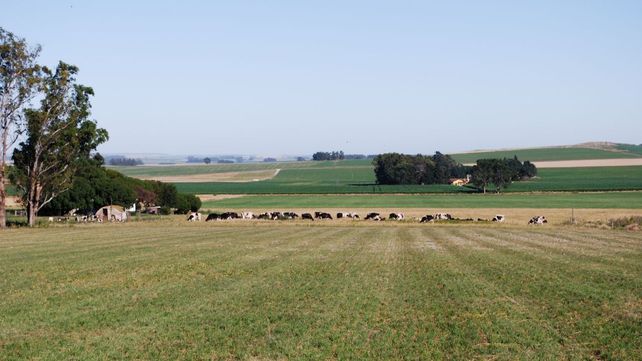 Bioeconomía, una estrategia para reducir el estrés sobre el ambiente