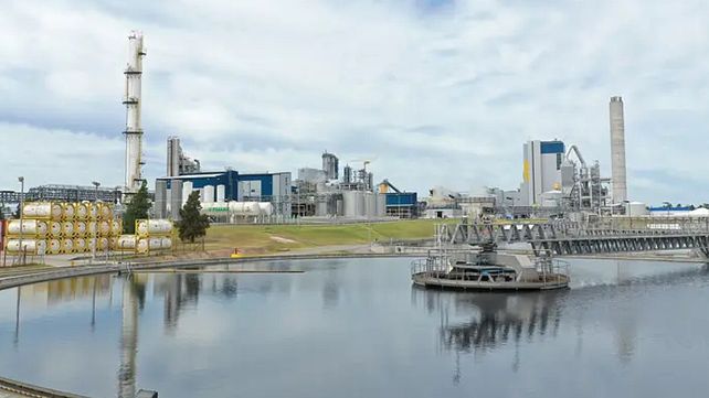 UPM Botnia: piden informe sobre derrame de ácido sulfúrico en el río Uruguay