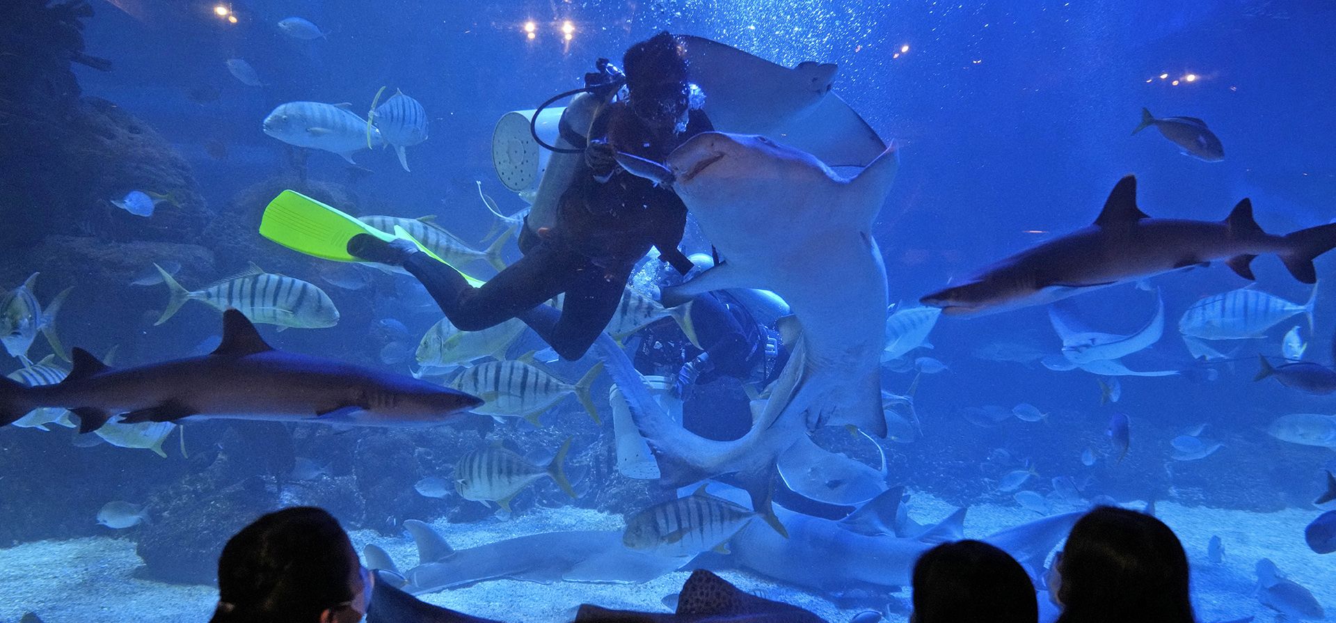 Visitantes observan cómo los buzos alimentan a los peces en el Acuario y Safari de Yakarta durante la primera semana del Ramadán en Yakarta, Indonesia, el miércoles 6 de abril de 2022.