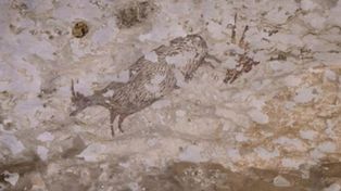 Descubren la pintura rupestre más antigua: tiene 44.000 años