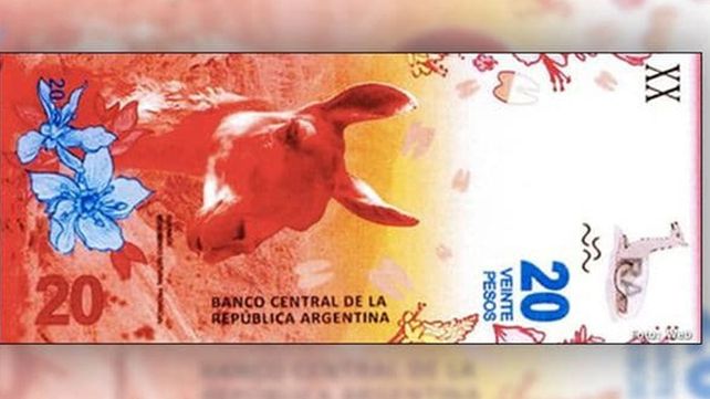 El nuevo billete de $20 tendrá un guanaco y será el de menor denominación