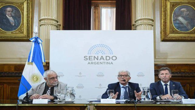 Mariano Cúneo Libarona en su presentación sobre el proyecto de ley contra las denuncias falsas.