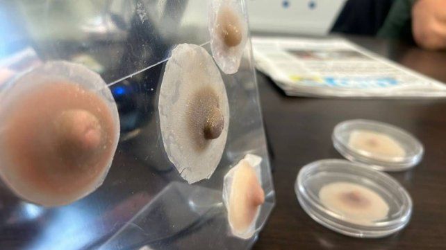 Octubre Rosa: esteticista dona prótesis hiperrealistas y tratamientos terapéuticos