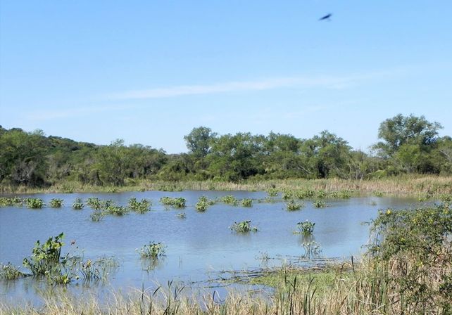 Agua dulce. El corredor fluvial es un complejo de ríos y lagunas. (Foto gentileza Turismo Diamante)