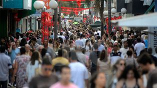 Información sobre locales por zona y rubro