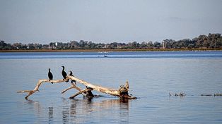 Nuevo humedal en la laguna Setúbal. Foto: gentileza Ignacio Beron.