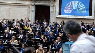 Zona Fría: cómo votaron los diputados que representan a Santa Fe