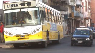 Las líneas de colectivos retoman sus recorridos