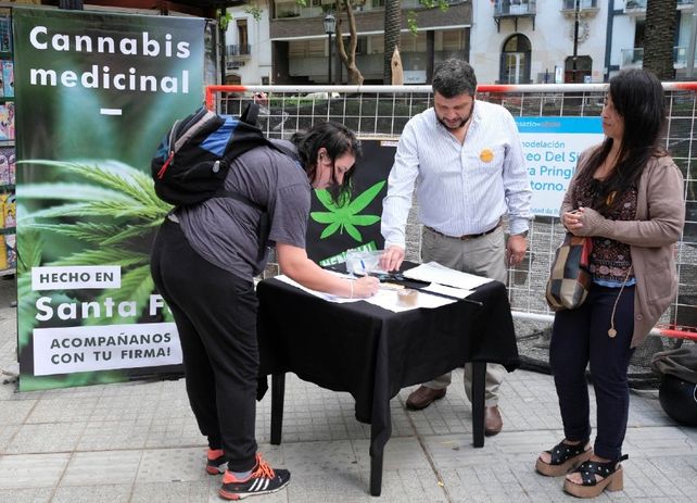 La semana que viene saldría la ley de producción industrial de cannabis medicinal