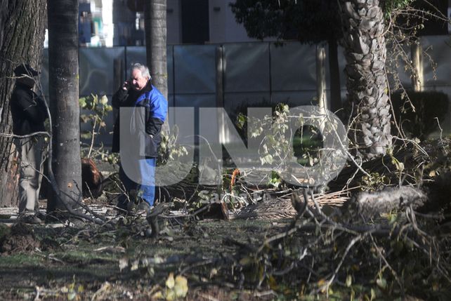 Siguen adelante los trabajos en el Parque Alberdi