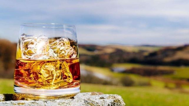 Una empresa elige a tres postulantes para que viajen por el mundo y tome whisky, todo pago