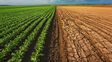 El riesgo climático obliga al agro a repensar su estrategia de negocio