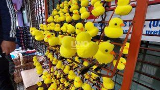 Los patitos kawaii, la moda viral que también llegó a la ciudad de Santa Fe