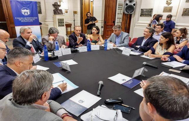 Lozano: Hay que investigar a fondo lo que pasó con Vicentín