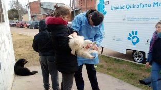 Además, durante el resto del mes continuarán los operativos barriales de quirófano móvil.