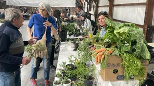 Huerteros de Roldán y de la zona intercambiaron semillas y plantines y también sus saberes.